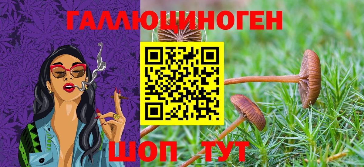 закладки  Вход с VPN  Балаково  Псилоцибиновые грибы Magic Shrooms 